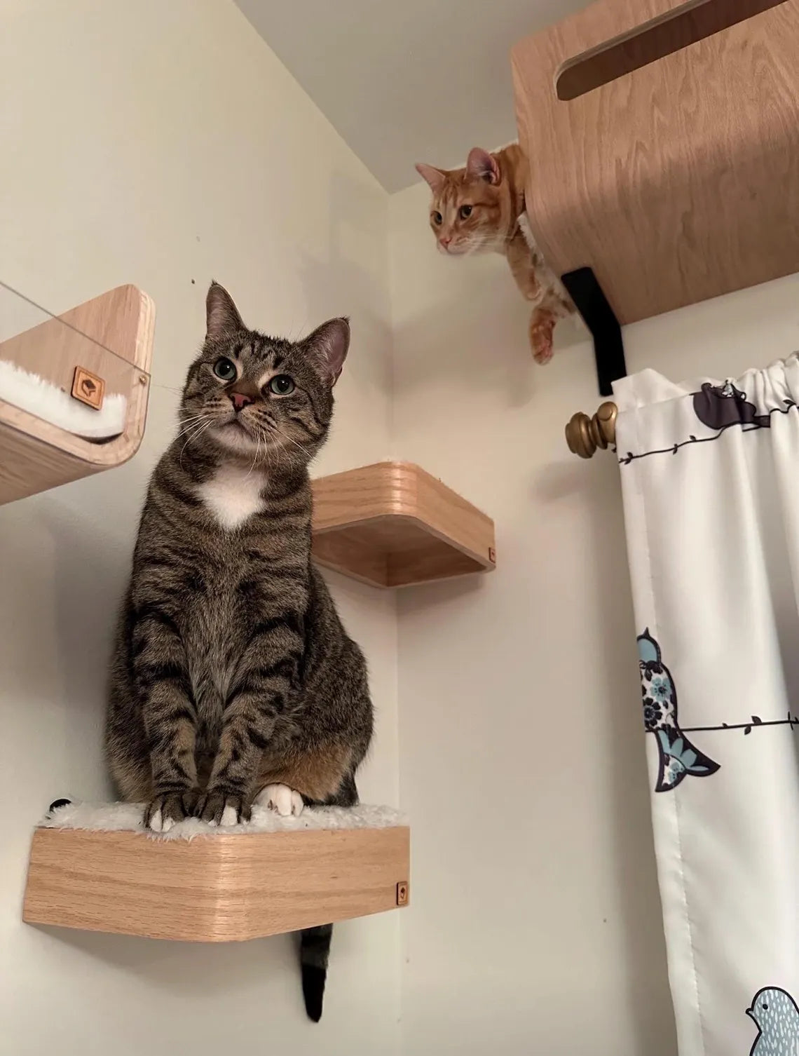 Wood Cat Wall Steps with Faux Fur, Cat Climbing Shelf