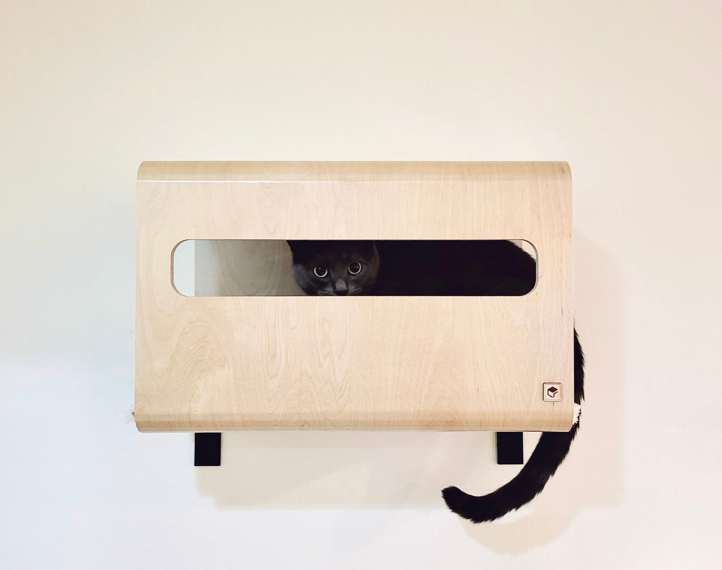 Wall Hidden Box _ Hide Out for Cats _ Cat Shelf _ Cat Hammock _ Cat Perch _ Cat House _ Wall Cat Bed