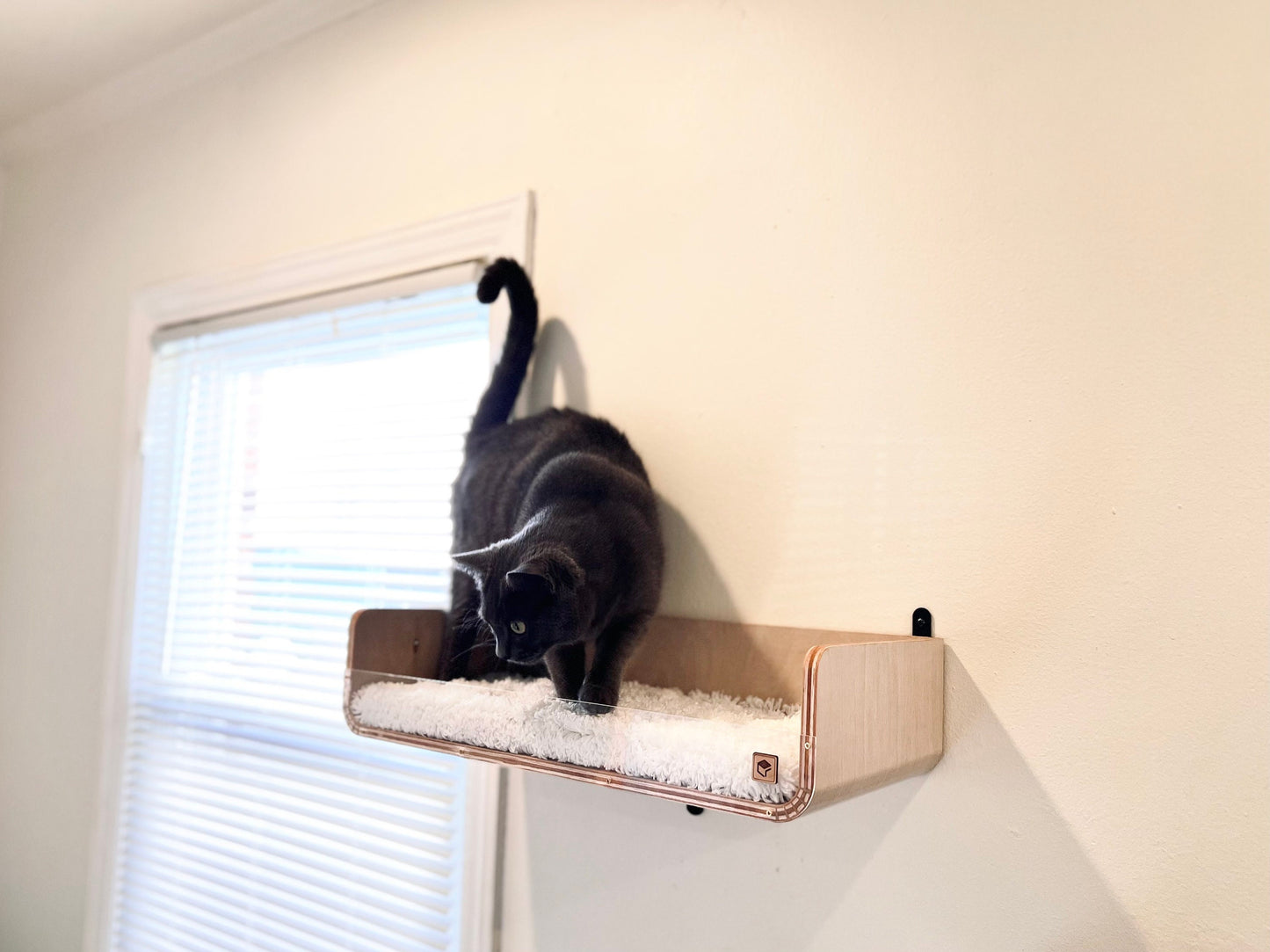 Modern Wall Cat Shelf _ Wall Cat Bed _ Cat Shelf _ Wall mounted cat bed _ Cat Perch _ Cat House _ Cat Climbing _ Cat Gift _ Cat Shelves