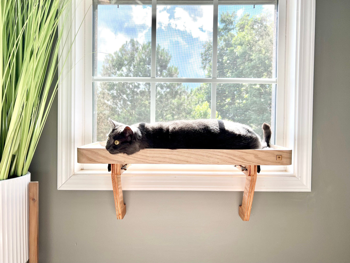 28"x10" Two cats? No problem!_Cat Window Perch_Sturdy-Safe support legs_Installed 1 minute_No tools No nails_Cat Window Shelf_Cat Lover Gift