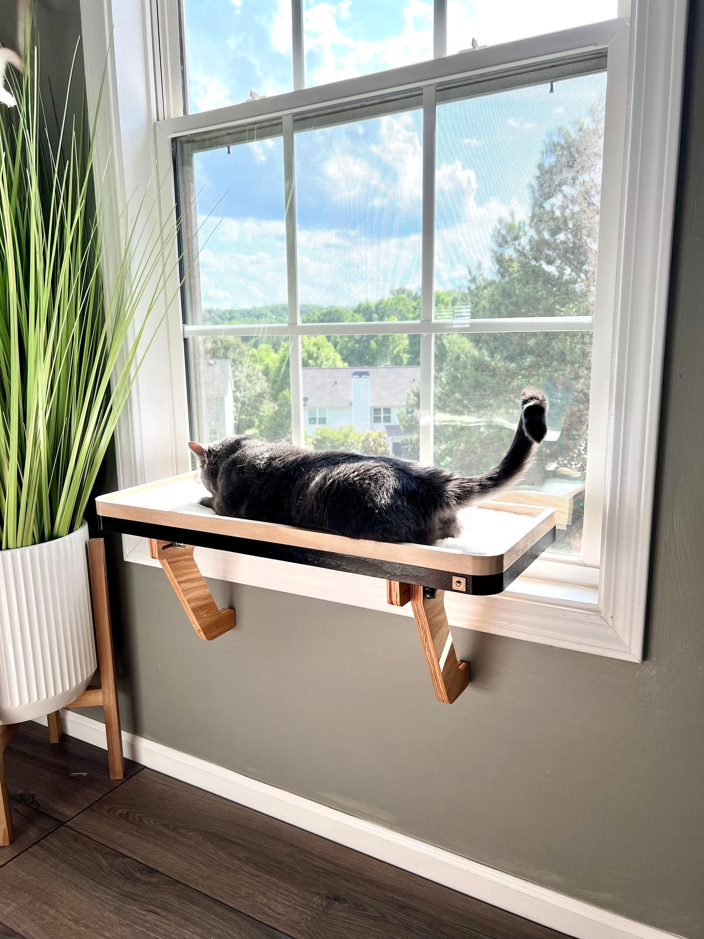 28"x10" Two cats? No problem!_Cat Window Perch_Sturdy-Safe support legs_Installed 1 minute_No tools No nails_Cat Window Shelf_Cat Lover Gift
