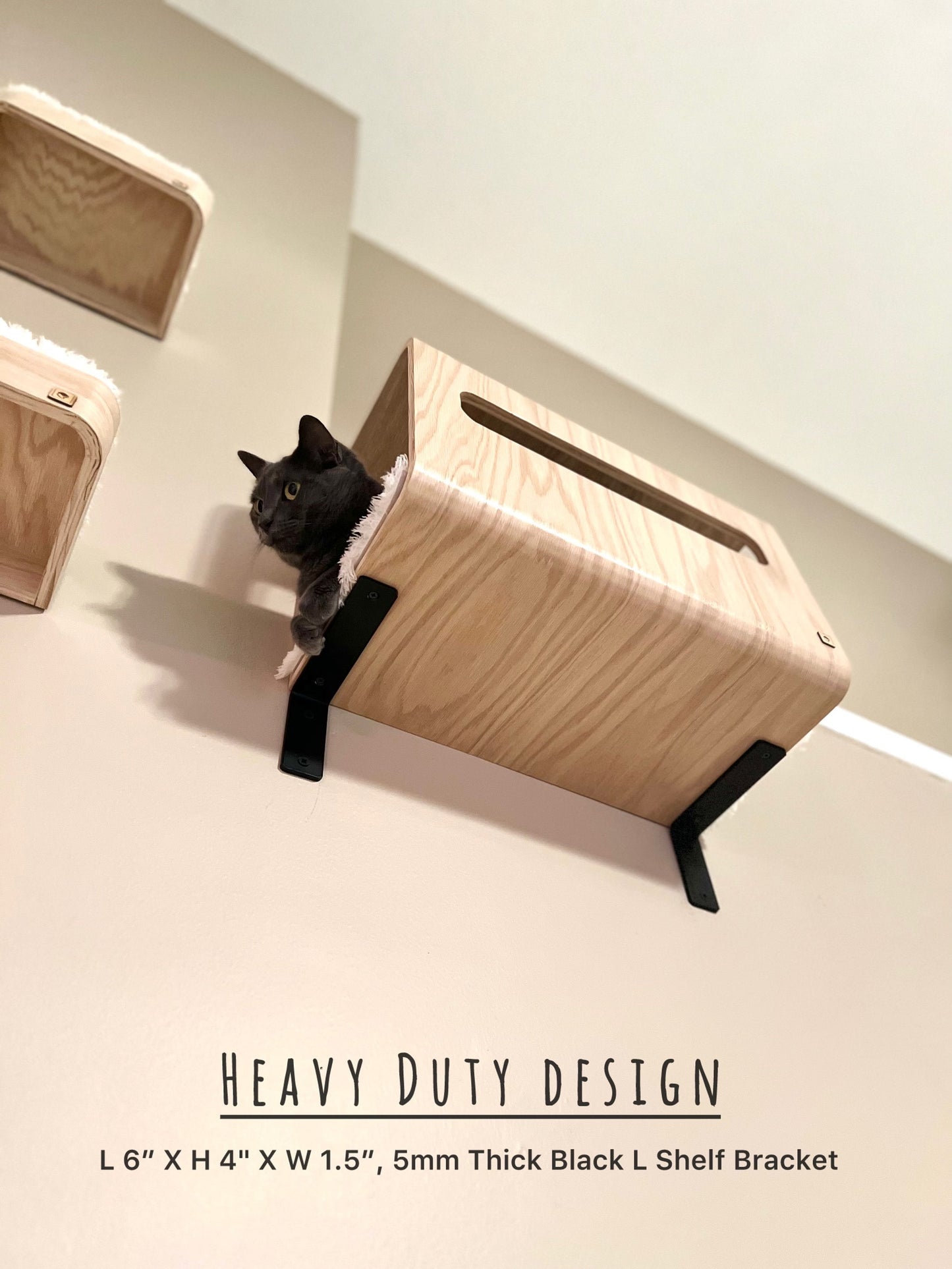 Wall Hidden Box _ Hide Out for Cats _ Cat Shelf _ Cat Hammock _ Cat Perch _ Cat House _ Wall Cat Bed
