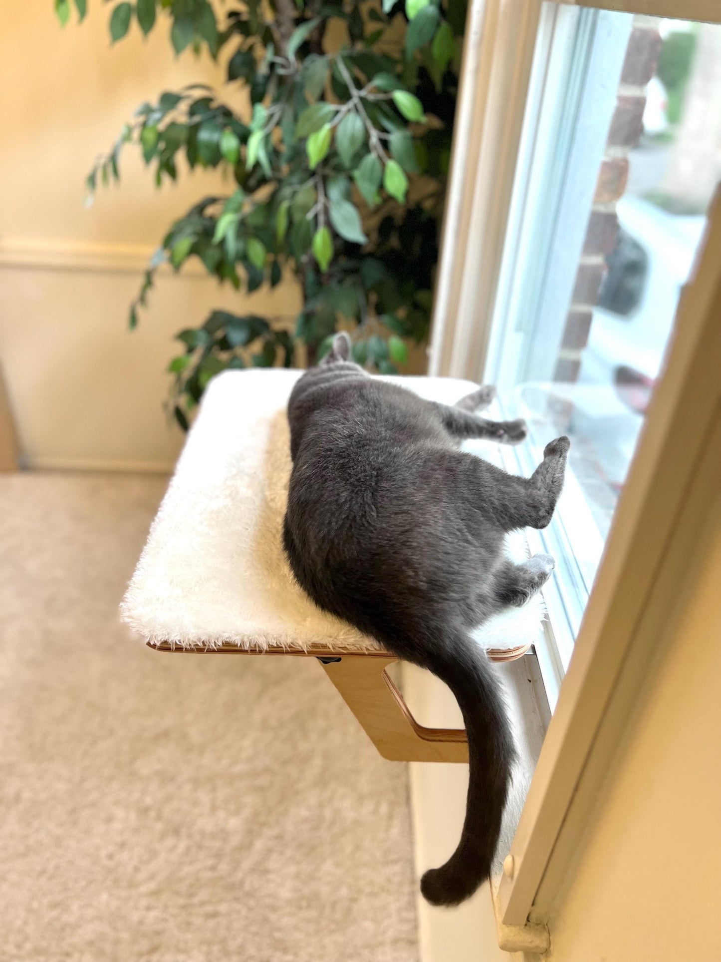 Wider Space & Happier Cats! _ Oak Window Perch _ Sturdy-Safe support legs _ Installed-removed 1 minute _ No tools No nails _ 21" x 15"