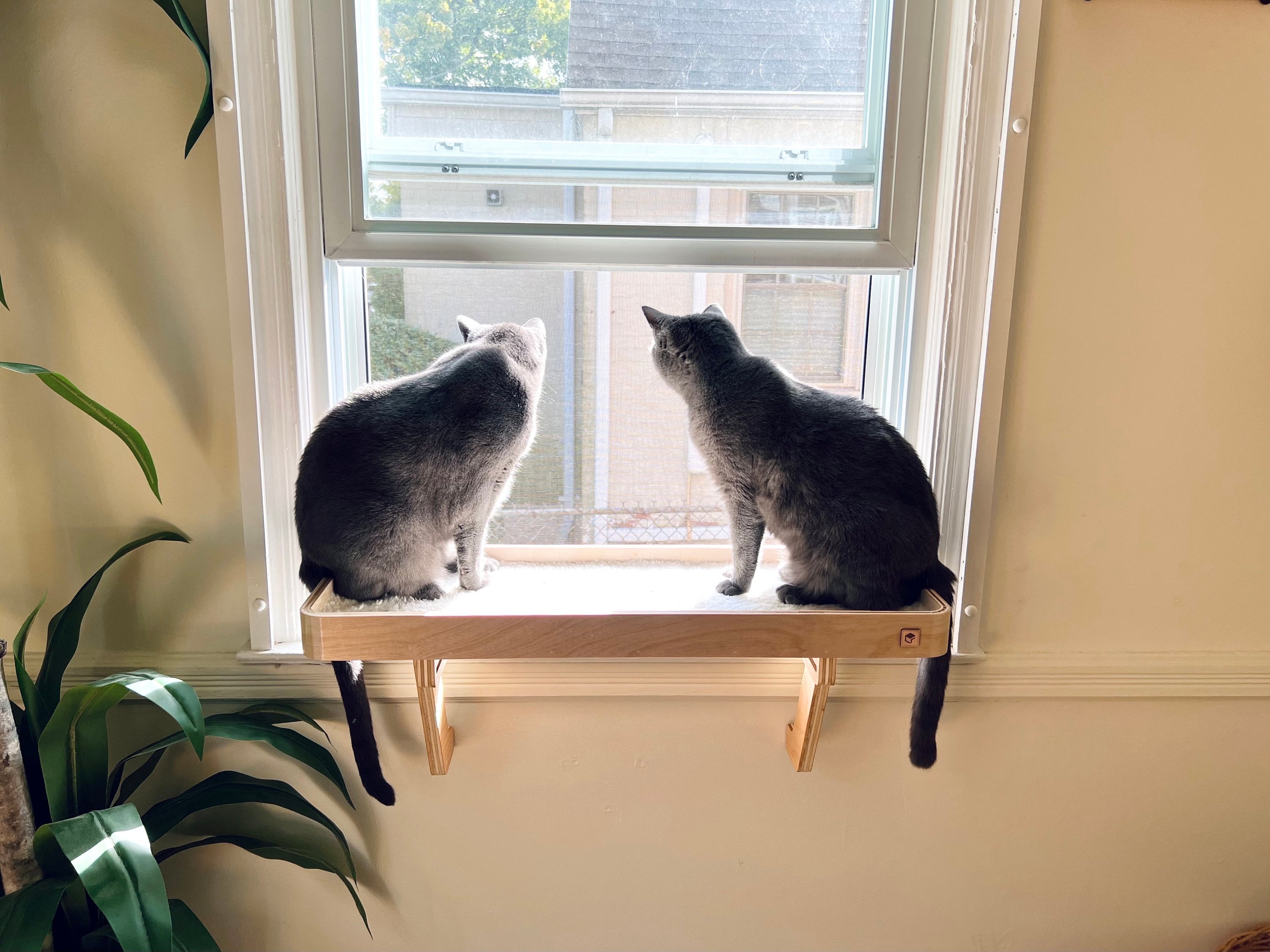 Cat window shelf hotsell