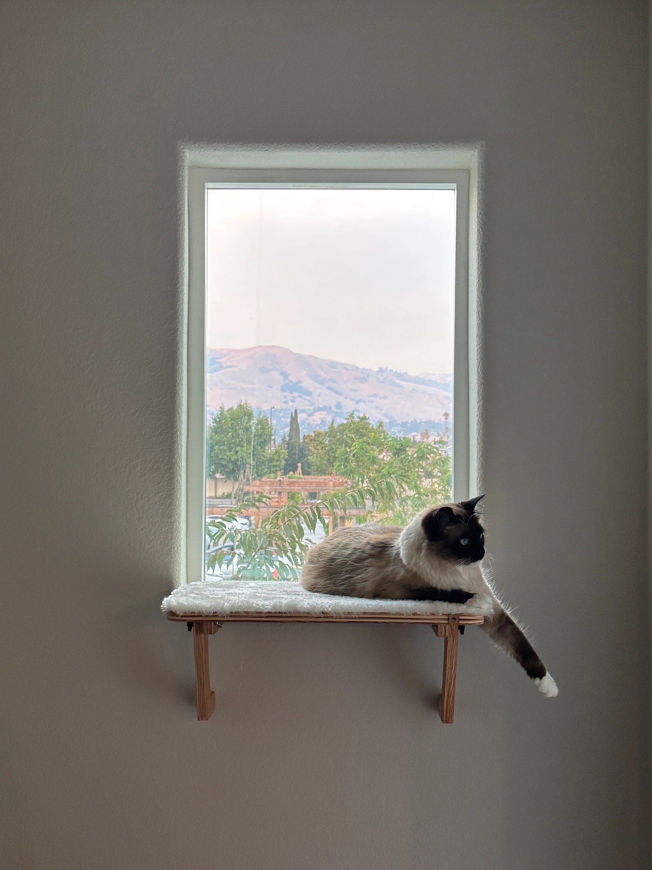 Cat window methanogenic perch for narrow sills