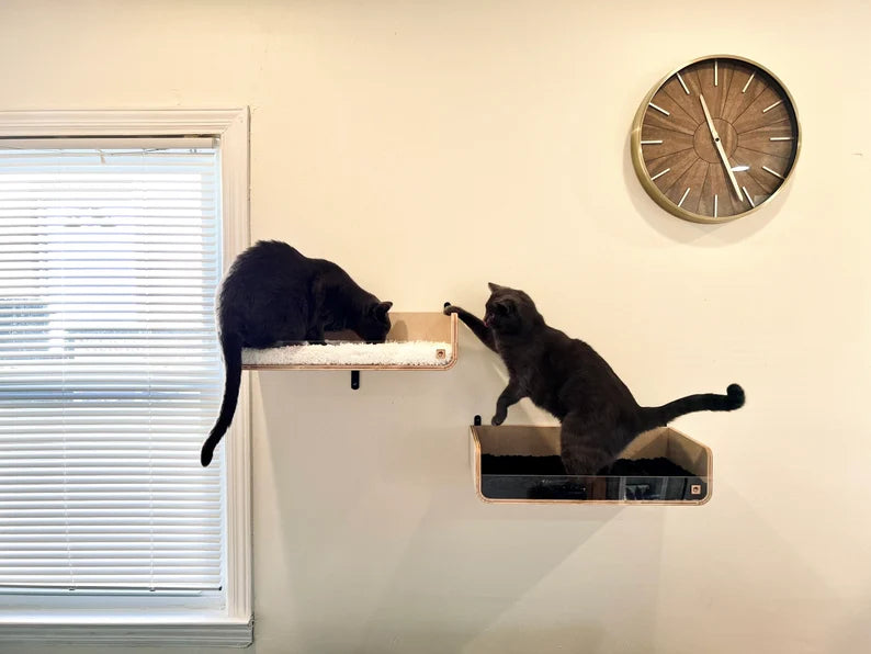 Modern Wall Mounted Cat Shelf, Cat Climbing Shelf