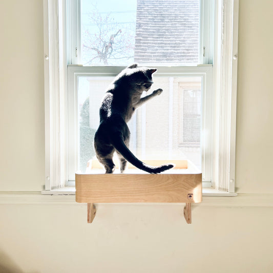 THENAMU Ms, 20" x 14" Wider space & Happier cats! Non-slip, Cat Window Perch, Cat Window Shelf, Cat Window Seat, Installed-removed 1 minute, No tools No nails