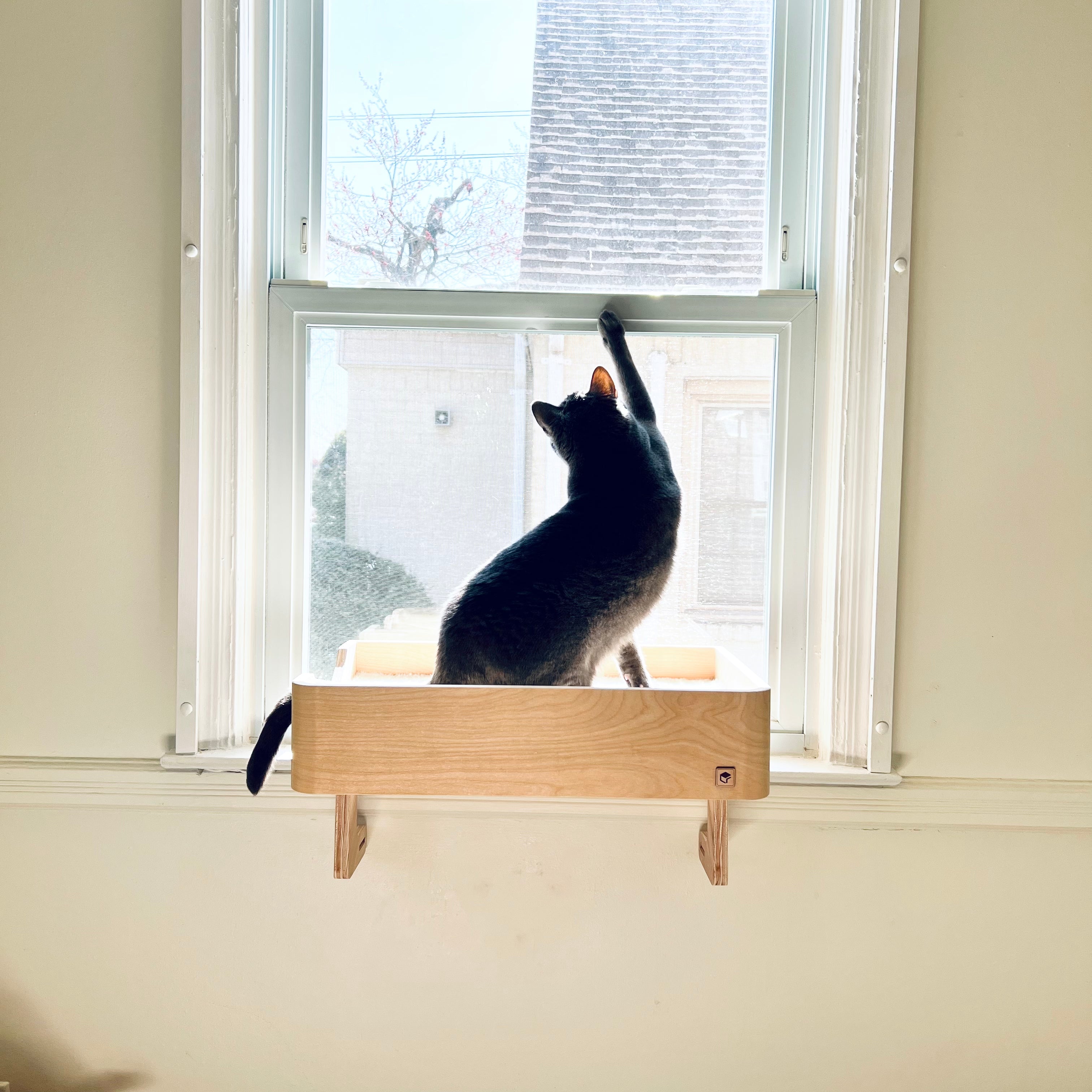 Cat window sill perch best sale