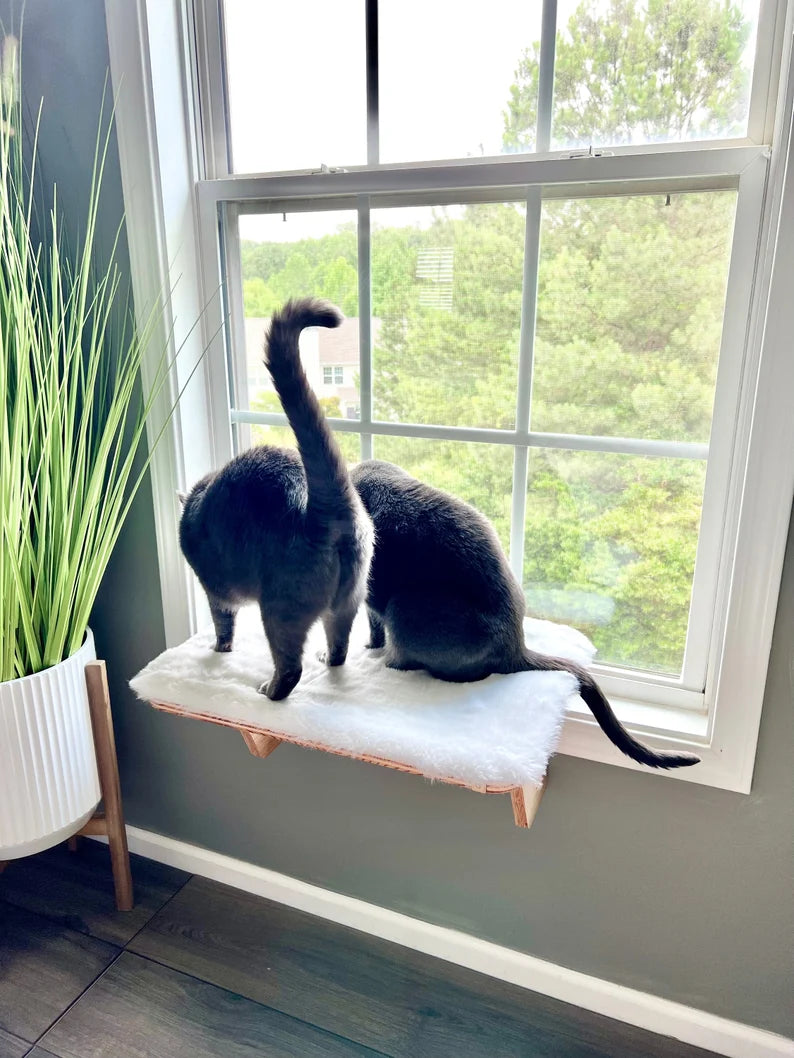 Wider Space, Oak Cat Window Perch, Easy Install, 21X15