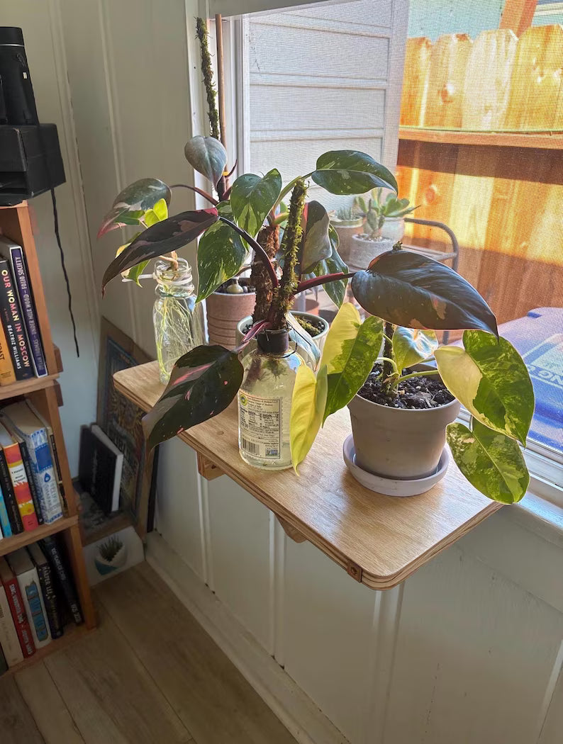 Oak Window Plant Shelf, Various shelf sizes, Easy Install, No Tools