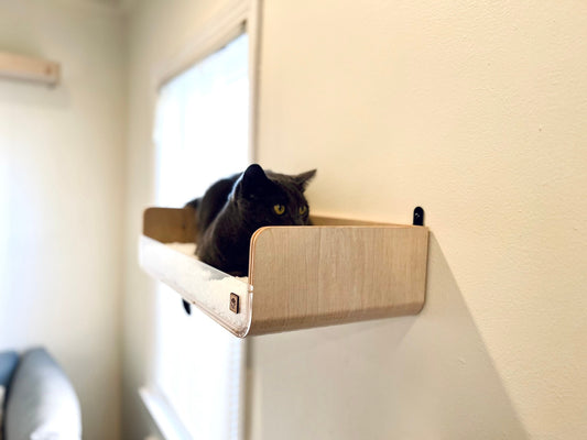 Modern Wall Cat Shelf _ Wall Cat Bed _ Cat Shelf _ Wall mounted cat bed _ Cat Perch _ Cat House _ Cat Climbing _ Cat Gift _ Cat Shelves