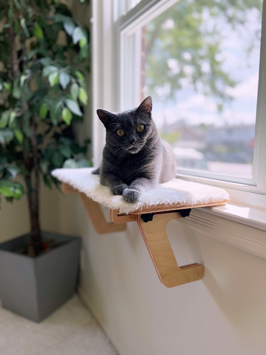 22"x10" Oak Cat Window Perch_Sturdy-Safe support legs_Installed-removed 1 minute_No tools No nails_Cat Window Shelf_Cat Bed_Cat Lover Gift