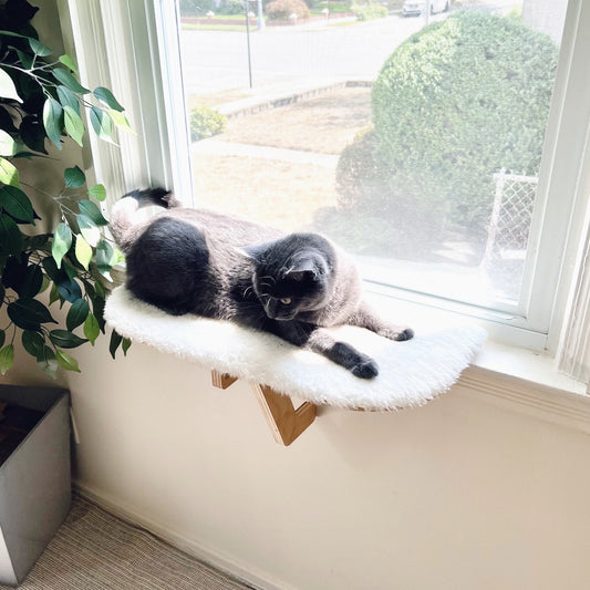 Oak Cat Window Perch_Sturdy-Safe support leg_Installed-removed 1 minute_No tools No nails_Cat Window Shelf_22"x10"_Cat Lover Gift