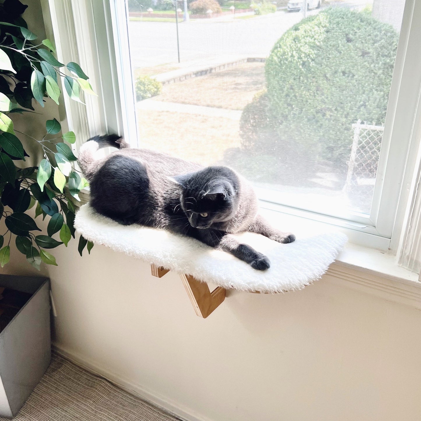 Oak Cat Window Perch_Sturdy-Safe support leg_Installed-removed 1 minute_No tools No nails_Cat Window Shelf_22"x10"_Cat Lover Gift