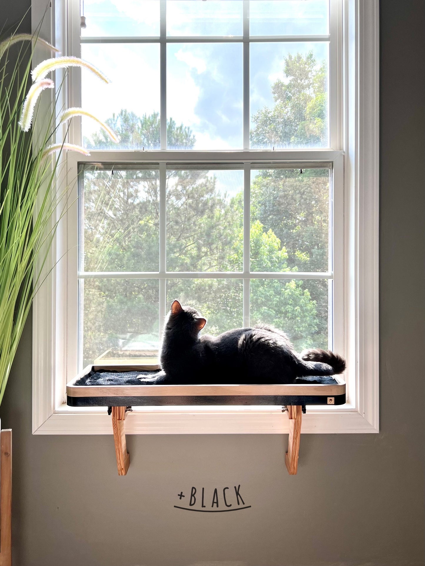 28"x10" Two cats? No problem!_Cat Window Perch_Sturdy-Safe support legs_Installed 1 minute_No tools No nails_Cat Window Shelf_Cat Lover Gift