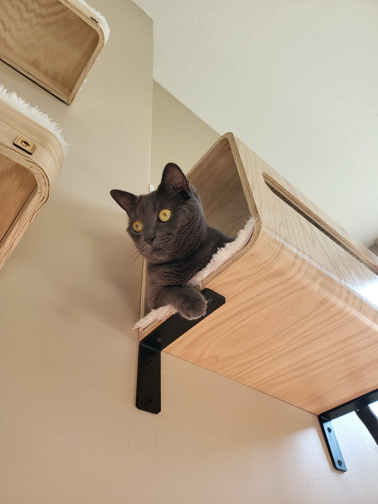 Wall Hidden Box _ Hide Out for Cats _ Cat Shelf _ Cat Hammock _ Cat Perch _ Cat House _ Wall Cat Bed