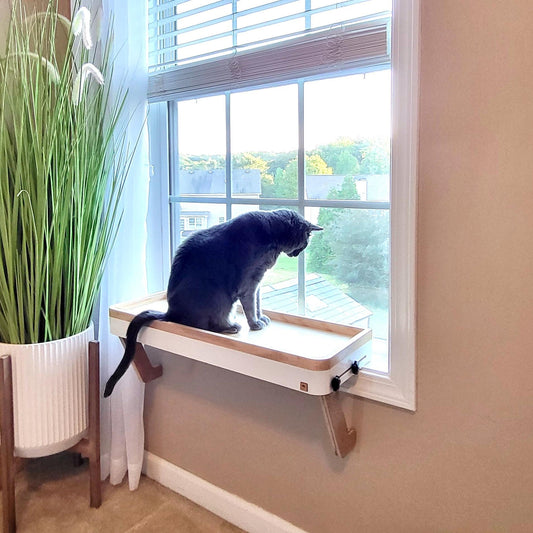 Colorful Cat Window Perch_Sturdy-Safe support legs_Installed-removed 1 minute_No tools No nails_Window Shelf_Cat Lover Gift