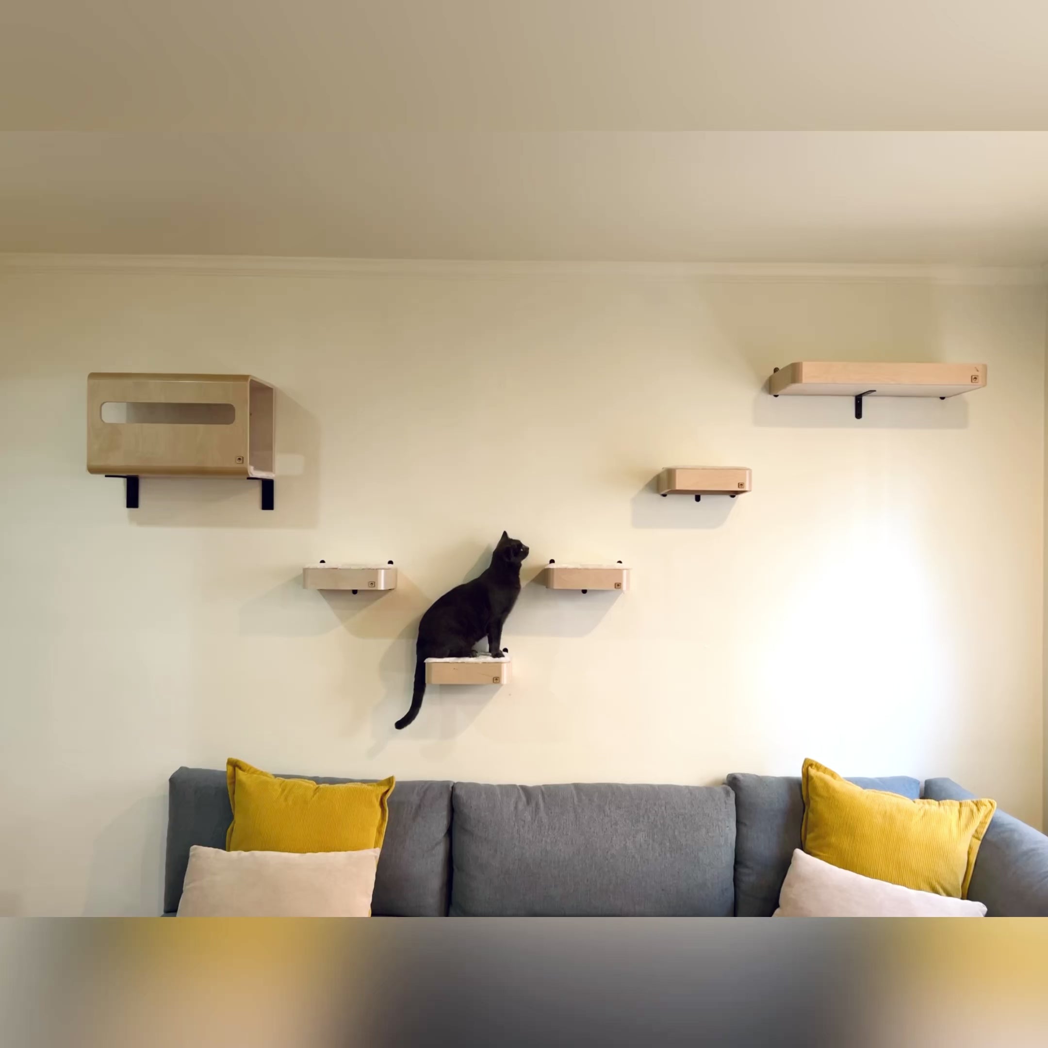 Wall mounted cheap cat stairs