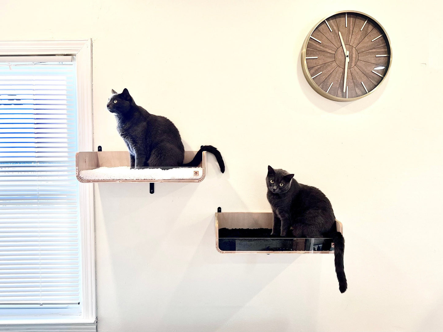 Modern Wall Cat Shelf _ Wall Cat Bed _ Cat Shelf _ Wall mounted cat bed _ Cat Perch _ Cat House _ Cat Climbing _ Cat Gift _ Cat Shelves