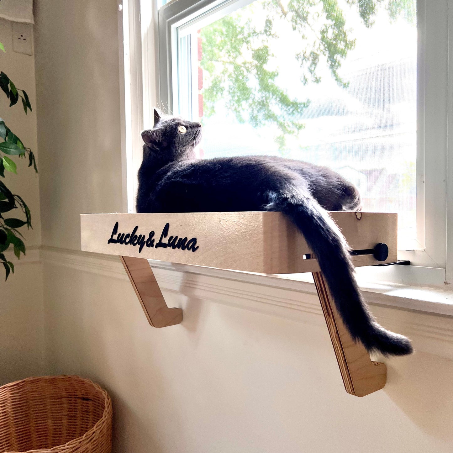 Personalized Cat Window Perch_Sturdy-Safe support legs_Installed-removed 1 minute_No tools No nails_Window Shelf_23"x10"_Cat Lover Gift